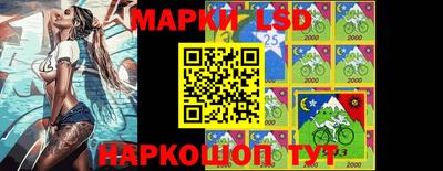 молекула духа Гатчина