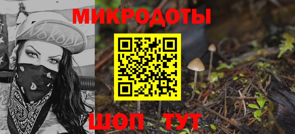 Псилоцибиновые грибы Magic Shrooms Гурьевск